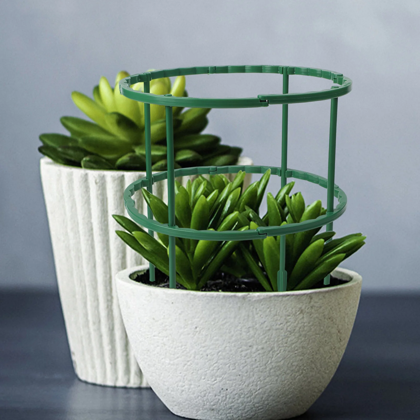 Решетка для восхождения, колья для растений, 12 шт., цветы, полукруглая пластиковая подставка, клетка, подставка, рамка, поддержка 15,5 × 25 см, новинка, многоразовая
Решетка для восхождения, колья для растений, 12 шт., цветы, полукруглая пластиковая подставка, клетка, подставка, рамка, поддержка 15,5 × 25 см, новинка, многоразовая