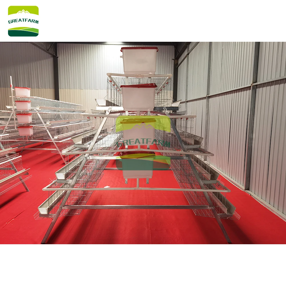 Great Farm 4 Tier A Frame Hot Dipped Galvanized Layer Cage For 160 Hens Used For Poultry Farm
Great Farm 4 Tier A Frame Hot Dipped Galvanized Layer Cage For 160 Hens Used For Poultry Farm