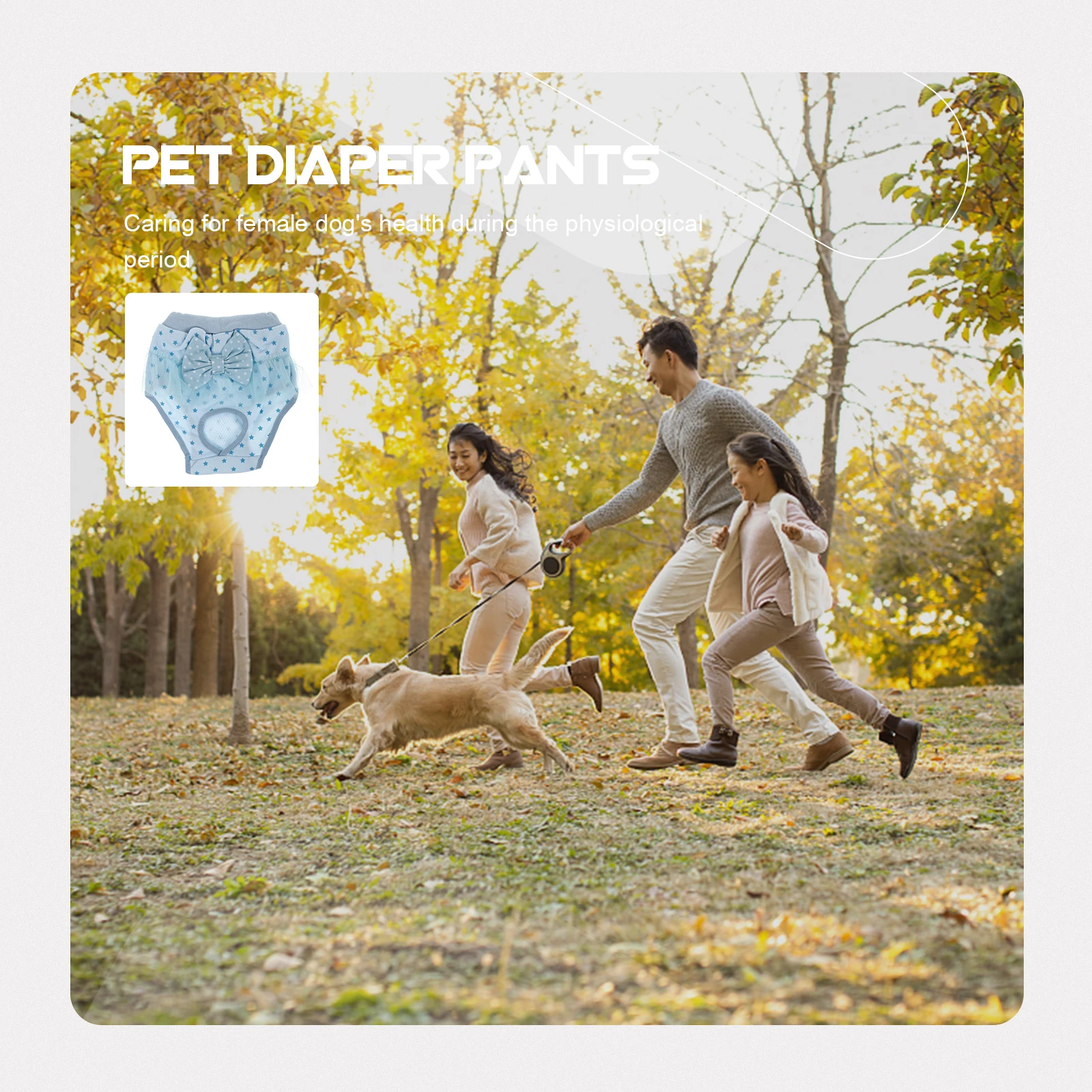 Dog Period Pants for Female Pets Leak-Resistant Secure Fit Easy to Wear and Remove Ideal for House Training Dog Diaper Panti
Dog Period Pants for Female Pets Leak-Resistant Secure Fit Easy to Wear and Remove Ideal for House Training Dog Diaper Panti