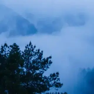 DTW700 700NM Torque Brushless Electric Impact Wrench Cordless 1/2" Impact Gun Car Truck Repair Power Tool For Makita 18V Battery
DTW700 700NM Torque Brushless Electric Impact Wrench Cordless 1/2" Impact Gun Car Truck Repair Power Tool For Makita 18V Battery