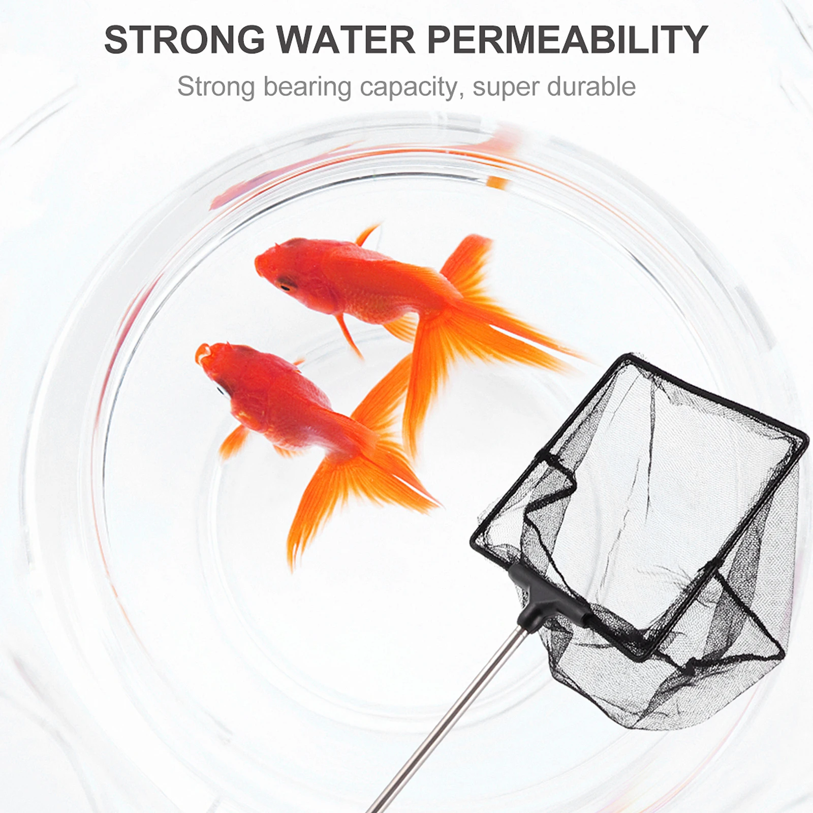 Stainless Steel Fish Net Foldable Telescopic Aquarium Mesh Net Handle for Tank Cleaning Debris Removal Long Lasting Use
Stainless Steel Fish Net Foldable Telescopic Aquarium Mesh Net Handle for Tank Cleaning Debris Removal Long Lasting Use