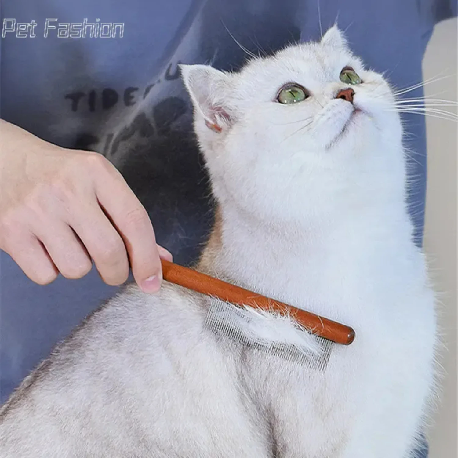 Top of the line professional stainless steel pet grooming comb with wood handle - Superior high-quality and effective cat hair r
Top of the line professional stainless steel pet grooming comb with wood handle - Superior high-quality and effective cat hair r