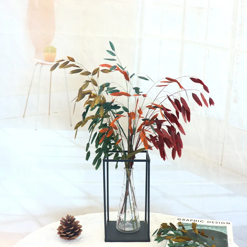 Natural Grass Green、Red、Orang、Tender Green Bouquet Fashin Living Room Decoration Fresh Dried Flowers For Vase Decor
Natural Grass Green、Red、Orang、Tender Green Bouquet Fashin Living Room Decoration Fresh Dried Flowers For Vase Decor