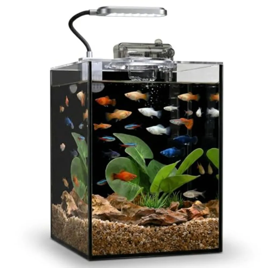 Small aquarium kit for betta fish: 2.2-gallon transparent glass tank with black background, integrated lid, LED light, and filt
Small aquarium kit for betta fish: 2.2-gallon transparent glass tank with black background, integrated lid, LED light, and filt