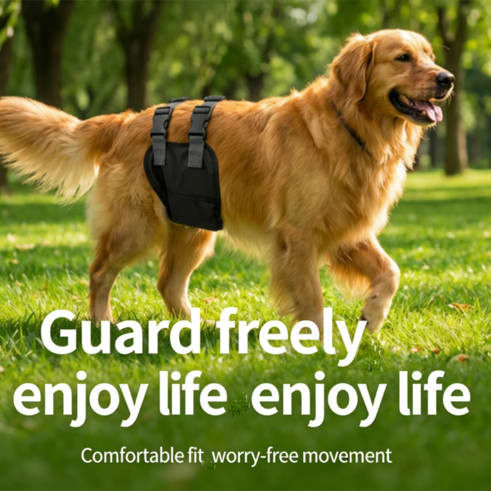 Pet Physiological Pants Male Dog Diapers Anti Harassment Breathable Adjustable Teddy Golden Retriever Universal
Pet Physiological Pants Male Dog Diapers Anti Harassment Breathable Adjustable Teddy Golden Retriever Universal