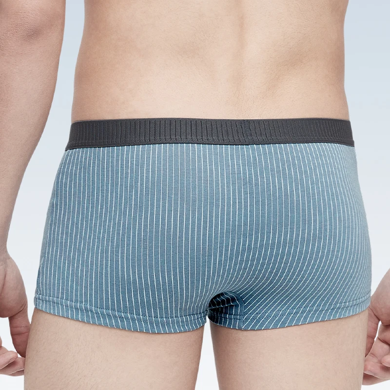 Мужское антибактериальное нижнее белье, осенние и зимние шорты-боксеры, шорты-боксеры для мальчиков, мужские трусы большого размера со средней талией
Мужское антибактериальное нижнее белье, осенние и зимние шорты-боксеры, шорты-боксеры для мальчиков, мужские трусы большого размера со средней талией