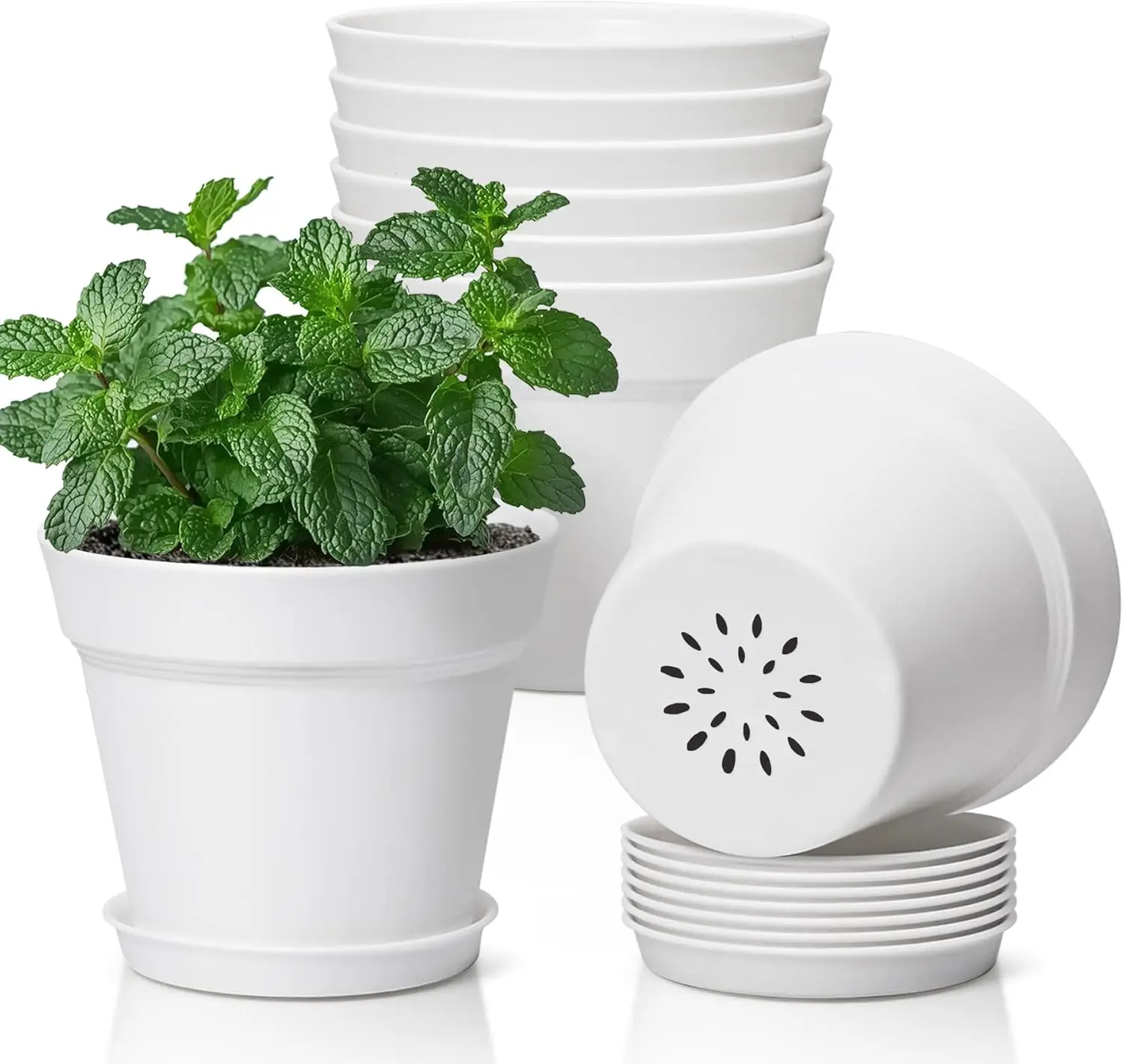 5 Inch Plant Pots 8-Pack with Saucers, Plastic Flower Pots with Drainage Holes for Indoor Plants, Succulents, Snake Plants, White
5 Inch Plant Pots 8-Pack with Saucers, Plastic Flower Pots with Drainage Holes for Indoor Plants, Succulents, Snake Plants, White