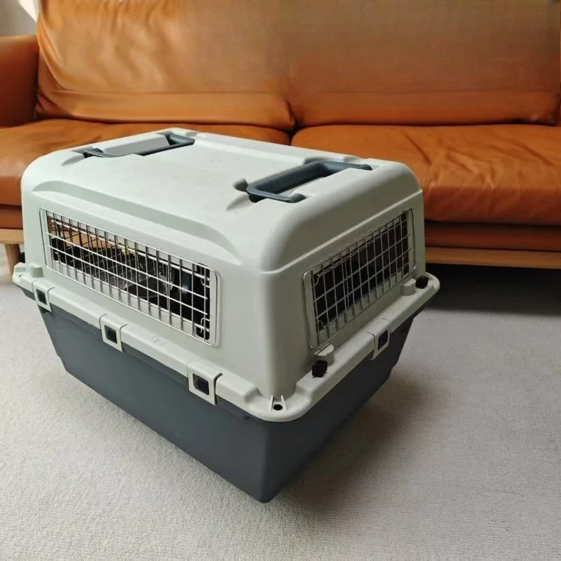Pet air box Metal iron mesh TEUs Cats and dogs checked in
Pet air box Metal iron mesh TEUs Cats and dogs checked in