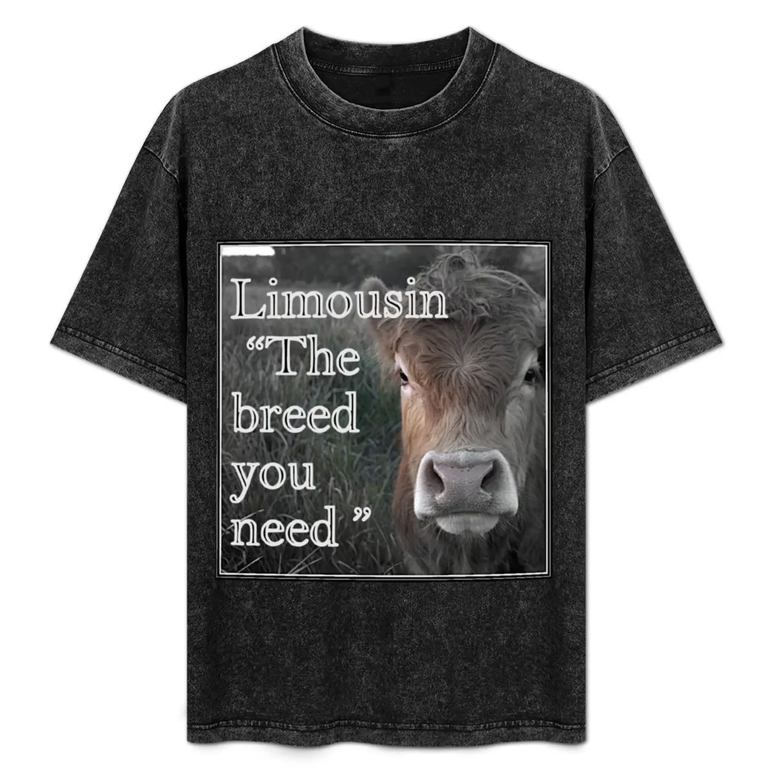 LIMOUSIN COWS, THE BREED YOU NEED T-Shirt anime tshirt funny gifts designer shirts customizeds mens designer clothes
LIMOUSIN COWS, THE BREED YOU NEED T-Shirt anime tshirt funny gifts designer shirts customizeds mens designer clothes