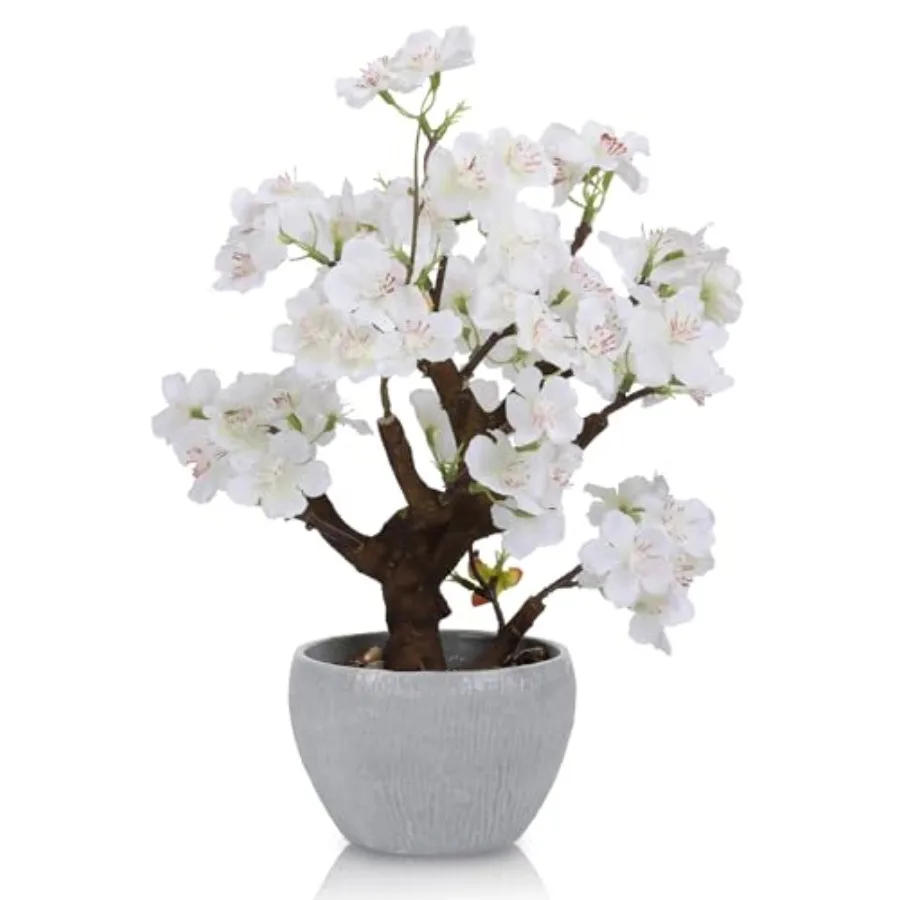 Artificial White Cherry Blossom Potted Plant with Stone Pot 12.6 Fake Flowers Potted Faux Plant Desk Decor Realistic Indoor Dec
Artificial White Cherry Blossom Potted Plant with Stone Pot 12.6 Fake Flowers Potted Faux Plant Desk Decor Realistic Indoor Dec