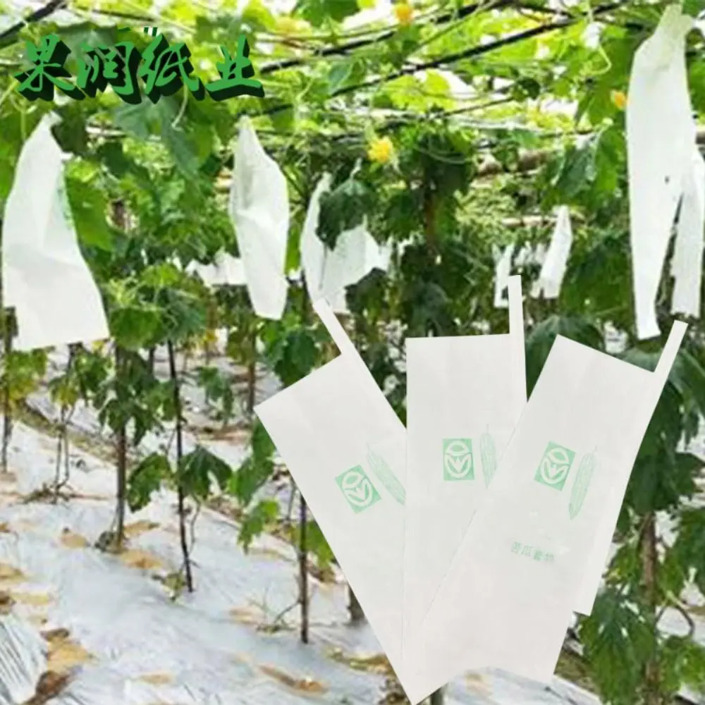 100pcs Breathable Balsam Pear Protection Bags Against Insect Generic Plant Grow Bag Practical Loofah Grow Bags
100pcs Breathable Balsam Pear Protection Bags Against Insect Generic Plant Grow Bag Practical Loofah Grow Bags