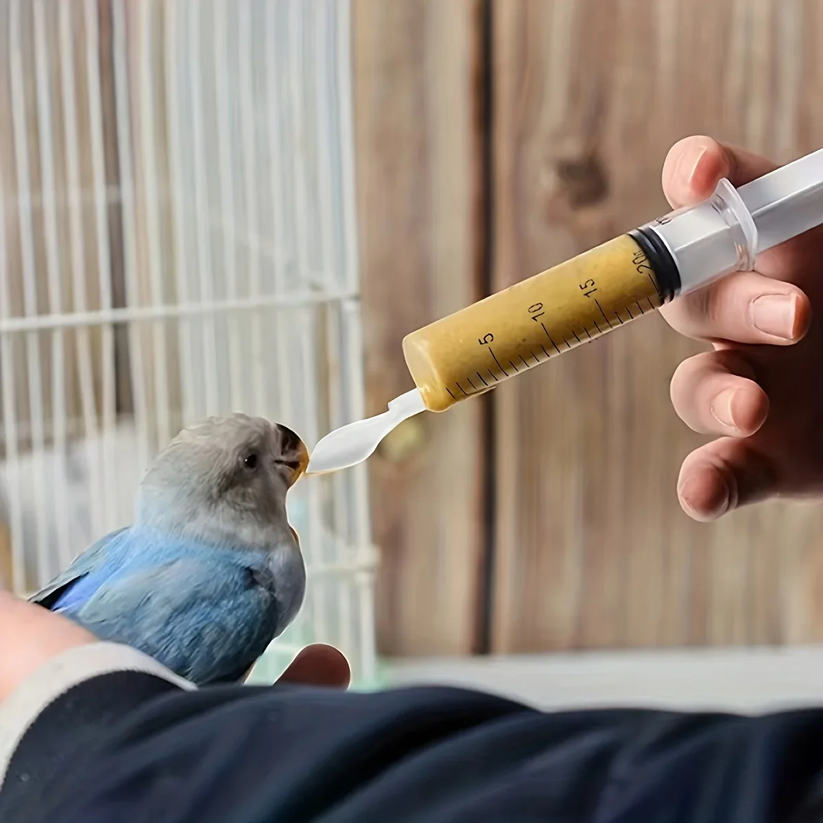 4pcs-Parrot and bird feeding syringe set, with soft spoon, precision manual feeding tool, durable and easy to use
4pcs-Parrot and bird feeding syringe set, with soft spoon, precision manual feeding tool, durable and easy to use