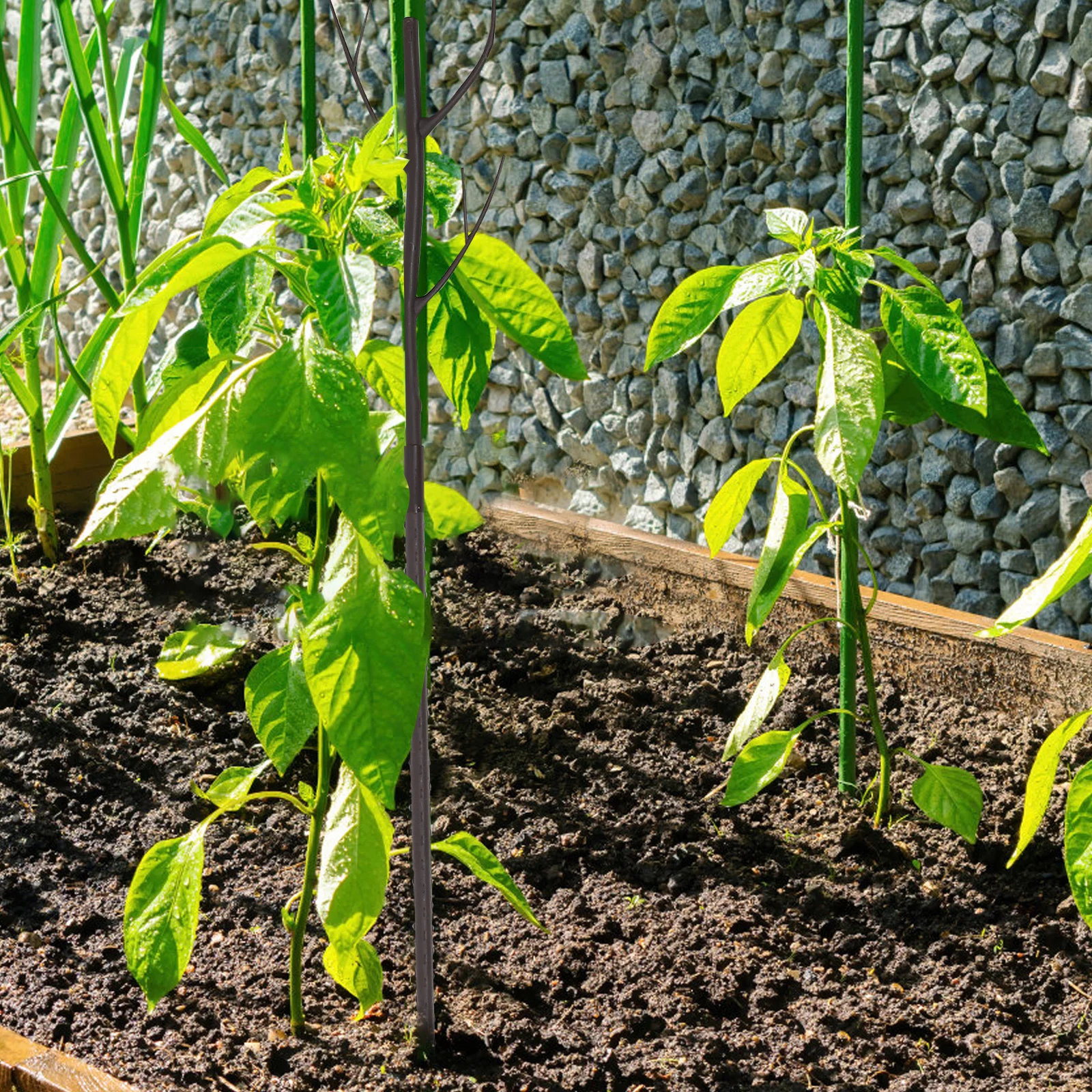 5 set Climbing Trellis For Potted Plants Indoor Outdoor Garden Plant Support Moss Poles Decorative Climbing Plant Holder Garden
5 set Climbing Trellis For Potted Plants Indoor Outdoor Garden Plant Support Moss Poles Decorative Climbing Plant Holder Garden