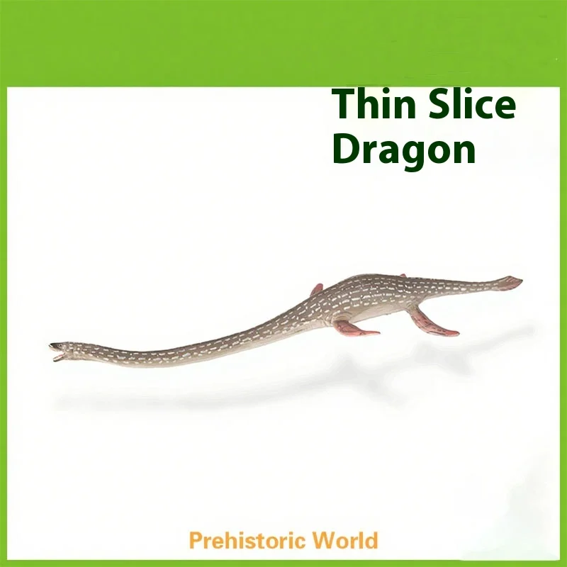 Prehistoric dinosaur model toy 88922 Thin slice dragon accompanies growth model Collection ornament figurine
Prehistoric dinosaur model toy 88922 Thin slice dragon accompanies growth model Collection ornament figurine