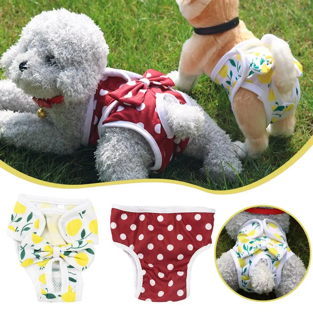 S-XL Dog Diapers Physiological Pant Puppy Female Panties Female Panties Dog Dog Diper Clothes Washable Cat Pet Underwear Sh B6H9
S-XL Dog Diapers Physiological Pant Puppy Female Panties Female Panties Dog Dog Diper Clothes Washable Cat Pet Underwear Sh B6H9