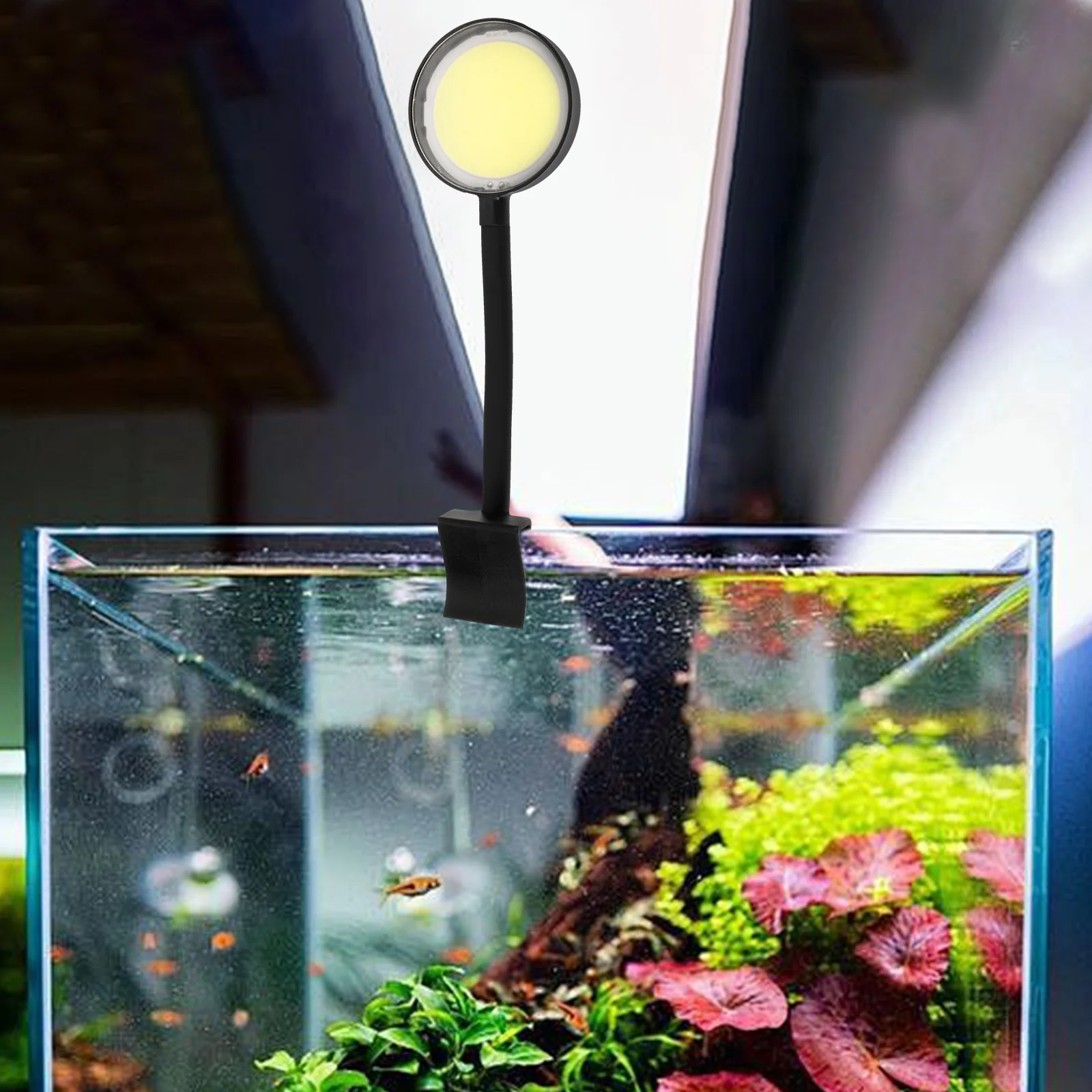 Fish Tank Lamp LED Small Aquarium Light Clip-on Durable Water Resistant Aquarium Fish Tank Lamp
Fish Tank Lamp LED Small Aquarium Light Clip-on Durable Water Resistant Aquarium Fish Tank Lamp