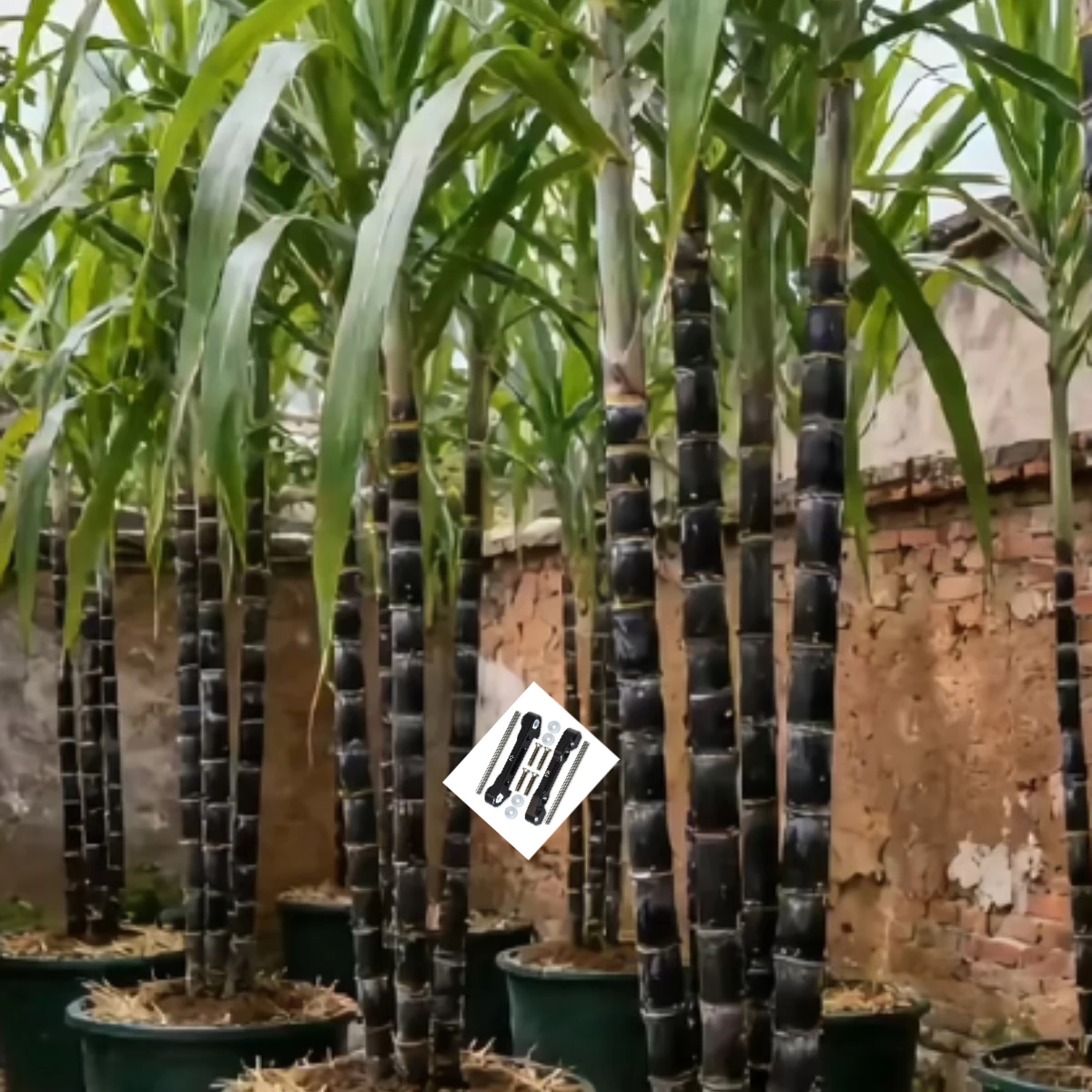 GPM 7075Alu Front Suspension Mount For LOSI 1/10 Lasernut Tenacity Ultra 4 DB
GPM 7075Alu Front Suspension Mount For LOSI 1/10 Lasernut Tenacity Ultra 4 DB