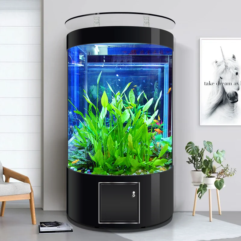 Хорошее качество полукруглый стеклянный аквариум прочный аквариум труба интеллектуальный завод аквариума для золотых рыбок
Хорошее качество полукруглый стеклянный аквариум прочный аквариум труба интеллектуальный завод аквариума для золотых рыбок