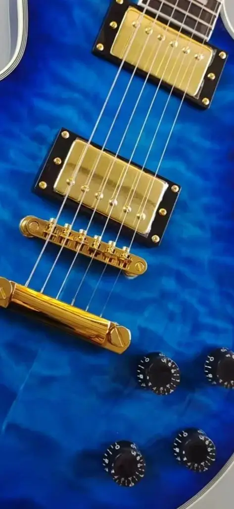 Customized electric guitar, Caston, blue large flower, made of imported wood, fast package shipping
Customized electric guitar, Caston, blue large flower, made of imported wood, fast package shipping