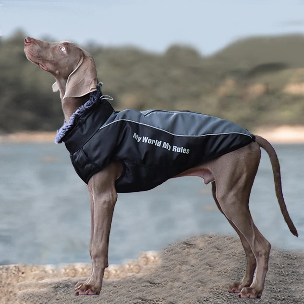 Madden Winter XL-6XL Large Dog Clothes Waterproof Big Dog Jacket Vest with High Collar Warm Pet Dog Coat Clothing
Madden Winter XL-6XL Large Dog Clothes Waterproof Big Dog Jacket Vest with High Collar Warm Pet Dog Coat Clothing