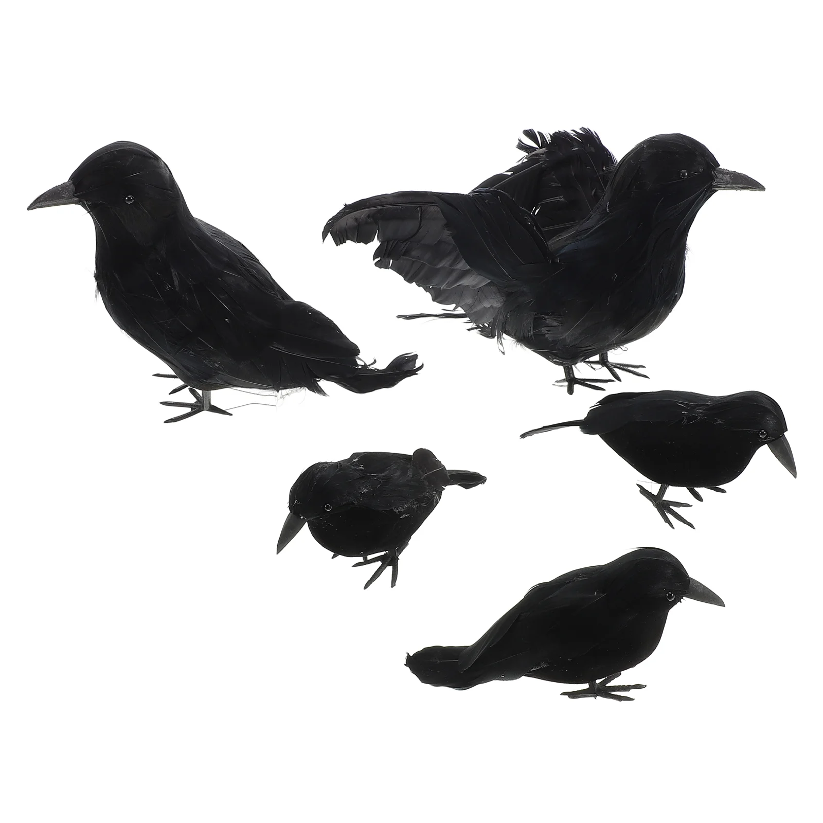 5 Pcs Halloween Crow Durable Decorations Realistic Crows Artificial Simulation Modeling Fake Figurine Reusable
5 Pcs Halloween Crow Durable Decorations Realistic Crows Artificial Simulation Modeling Fake Figurine Reusable