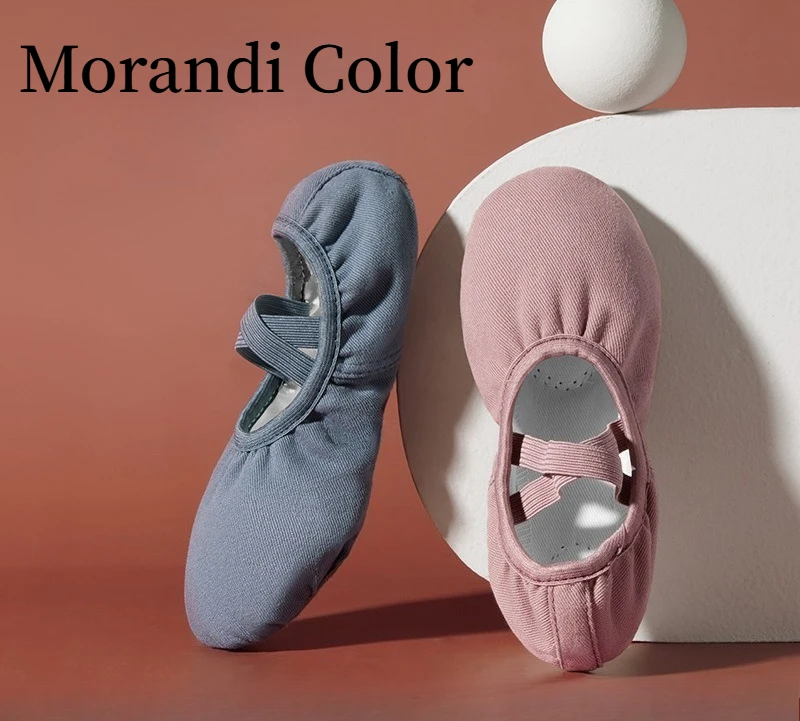 Morandi Color Soft Sole Ballet Shoes for Kids Dance Training Summer Breathable Elastic Non Slip Lightweight Practice Slippers
Morandi Color Soft Sole Ballet Shoes for Kids Dance Training Summer Breathable Elastic Non Slip Lightweight Practice Slippers