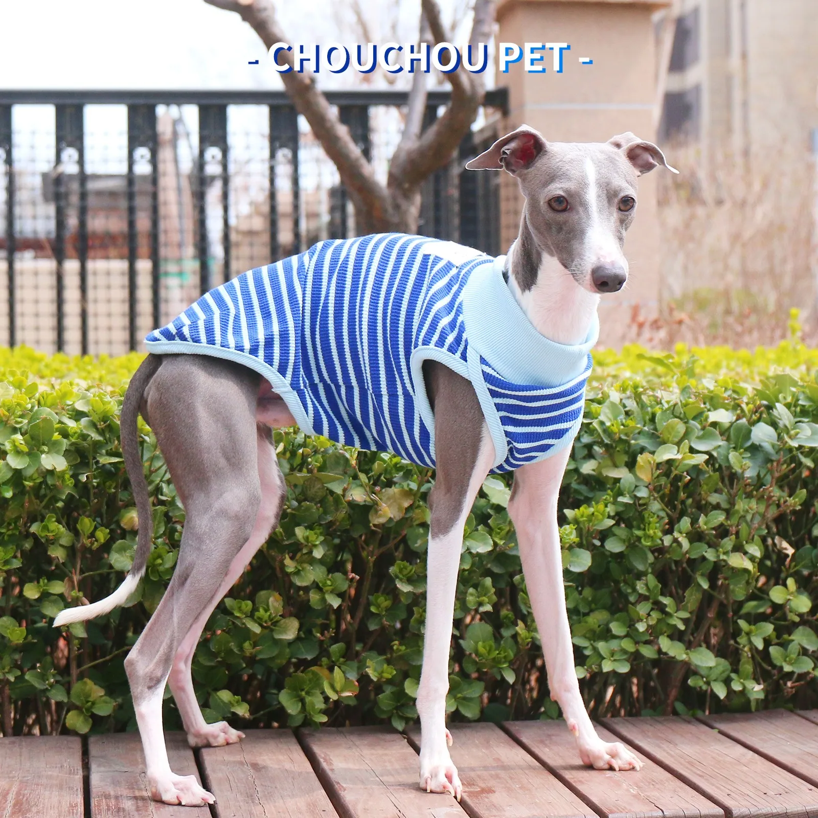Summer Stretchy Striped Dog Vest - Breathable Cooling Sun Protection Sleeveless Shirt for Small/MediumTeal Dog Summer Clothes
Summer Stretchy Striped Dog Vest - Breathable Cooling Sun Protection Sleeveless Shirt for Small/MediumTeal Dog Summer Clothes