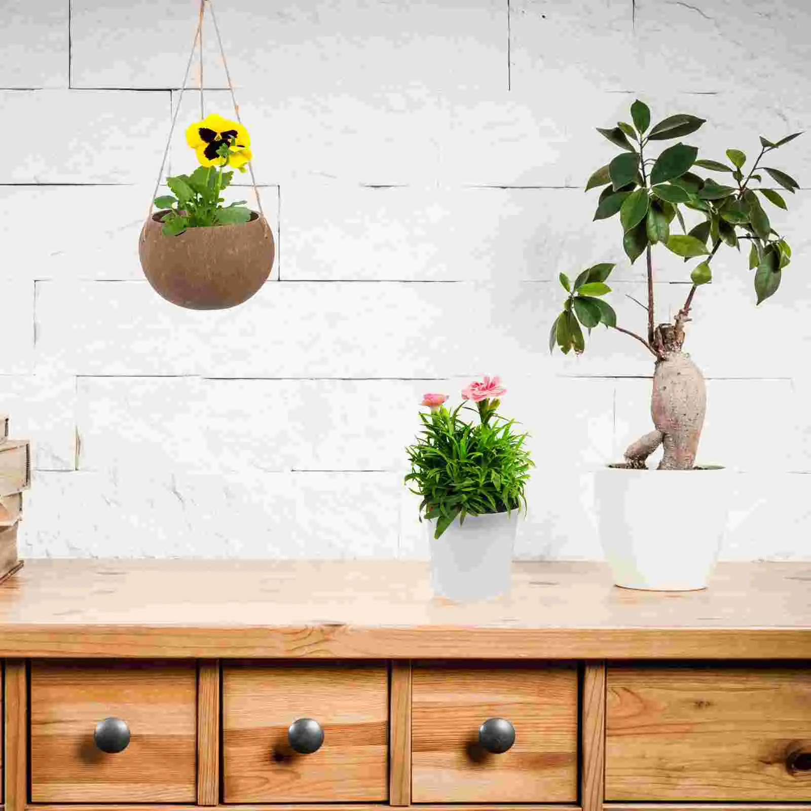 Coconut Shell Flowerpot Pots for Plants Wall Hanging Baskets Decorative Organizer Planter Balcony Holder Indoor
Coconut Shell Flowerpot Pots for Plants Wall Hanging Baskets Decorative Organizer Planter Balcony Holder Indoor