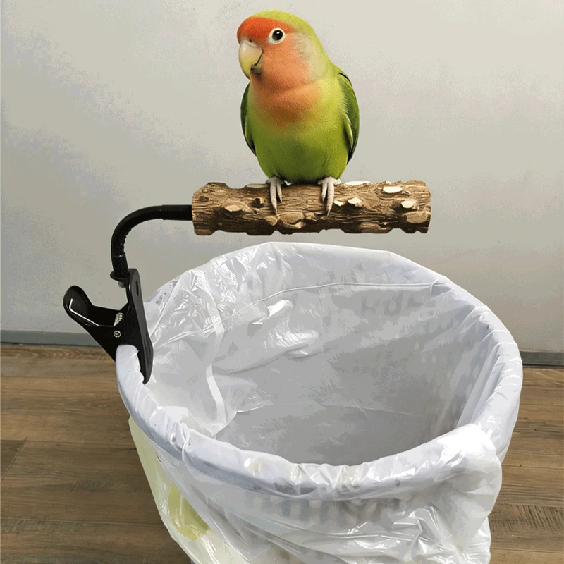 Bird Potty Training Stand with Universal Adjustable Metal Clamp Cockatiel Budgies Lovebirds Parrots Waste Collection Station
Bird Potty Training Stand with Universal Adjustable Metal Clamp Cockatiel Budgies Lovebirds Parrots Waste Collection Station