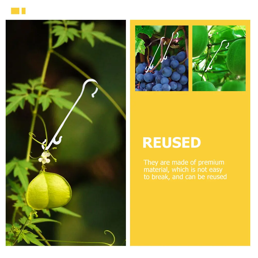 850pcs Plastic Plant Support Tomato Truss For Tomatoes Cucumbers Beans Eggplants Durable Reusable Garden Greenhouse Tools Plant
850pcs Plastic Plant Support Tomato Truss For Tomatoes Cucumbers Beans Eggplants Durable Reusable Garden Greenhouse Tools Plant