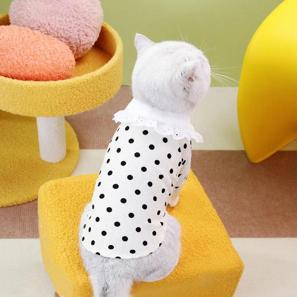 Comfortable Cute Dog Polka Dot Vest Soft Breathable Pet Summer Skirt Fashion Thin Design Dog Clothes Spring
Comfortable Cute Dog Polka Dot Vest Soft Breathable Pet Summer Skirt Fashion Thin Design Dog Clothes Spring