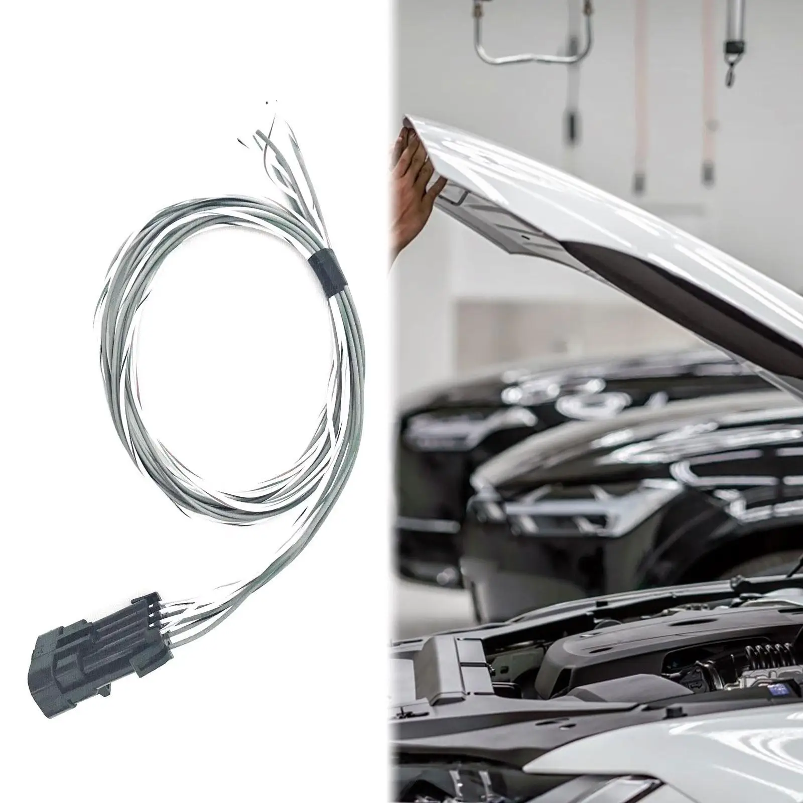 Motorcycle Input Outputs Auxiliary Harness Engine Electrical Management Assembly for Holley Terminator X MPFI EFI Systems
Motorcycle Input Outputs Auxiliary Harness Engine Electrical Management Assembly for Holley Terminator X MPFI EFI Systems