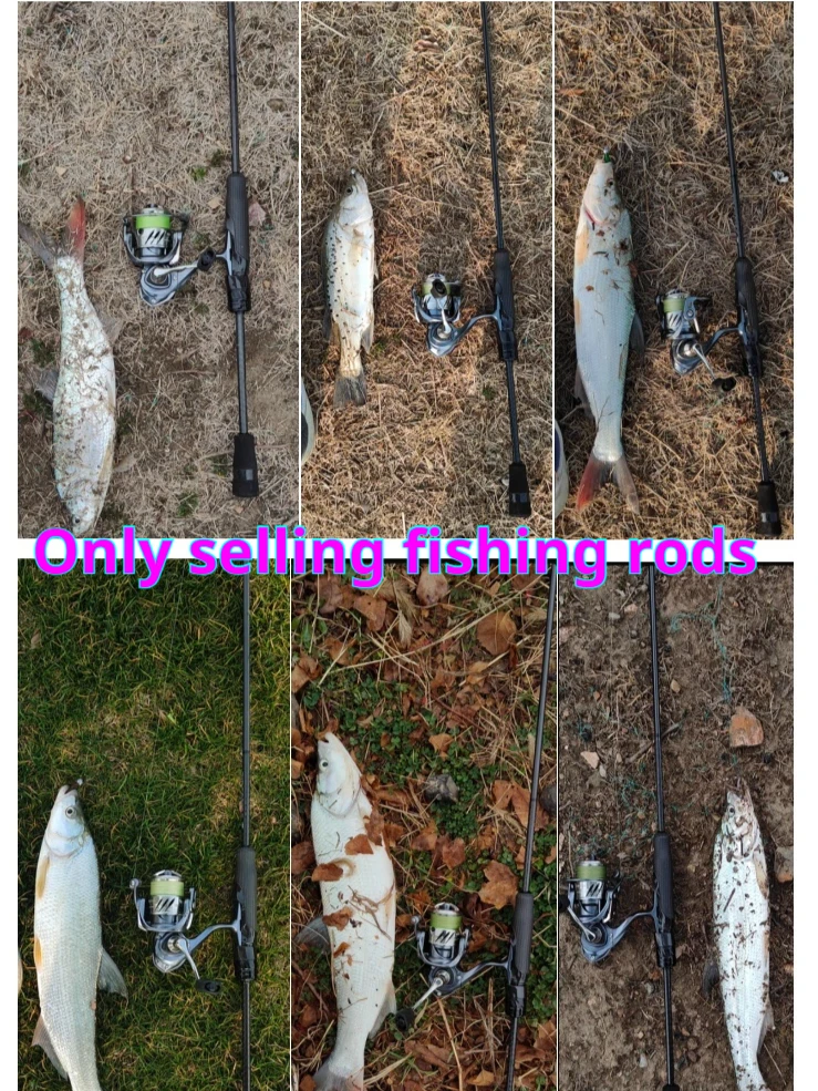 Lemoren M40X High Carbon Fiber Lightweight Lure Rod Woven Carbon Handle Spinning Baitcasting For Bass Culter Bottom Fishing
Lemoren M40X High Carbon Fiber Lightweight Lure Rod Woven Carbon Handle Spinning Baitcasting For Bass Culter Bottom Fishing