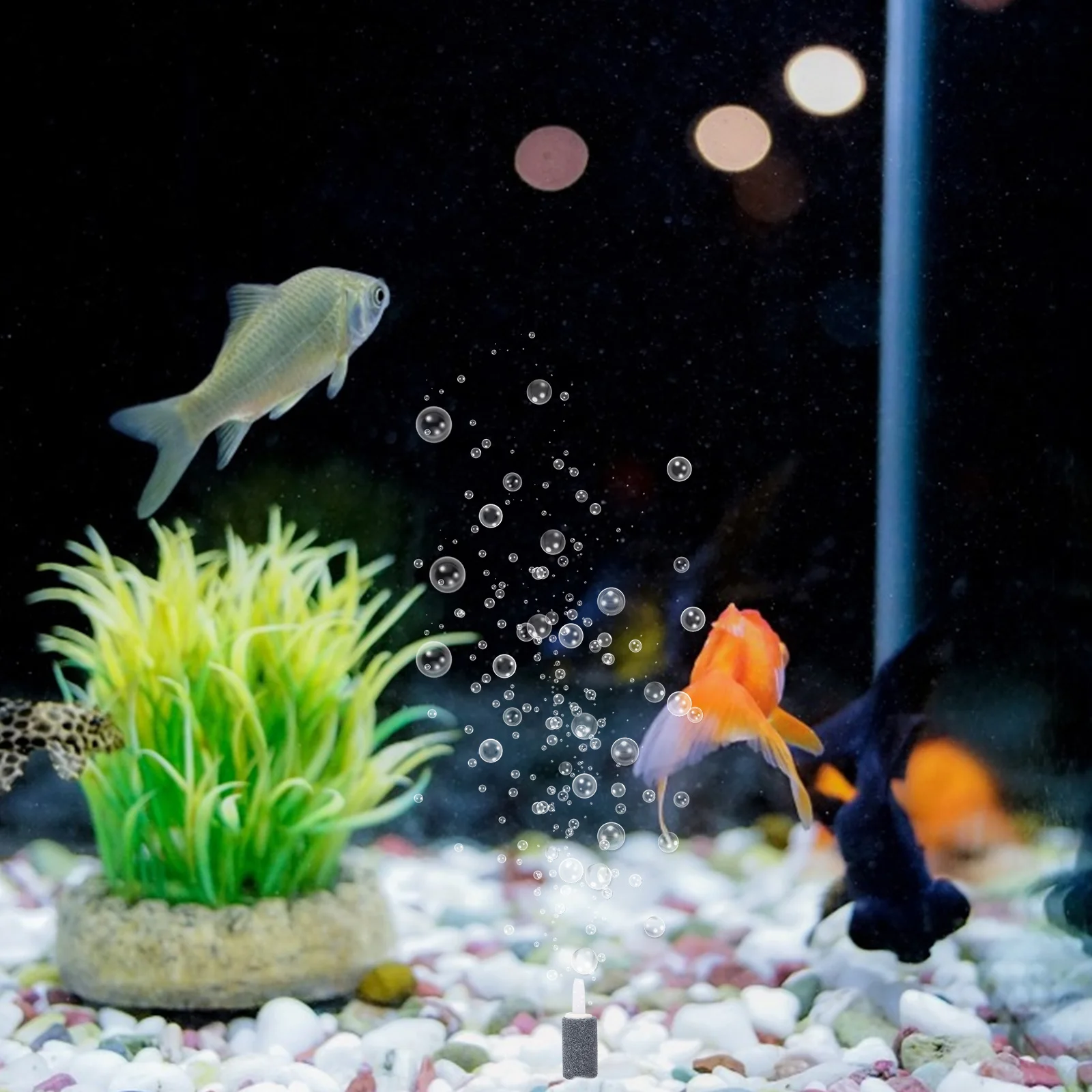 50pcs Air Stones Diffusers 1 Inch Cylinder Bubble Stone for Fish Tanks Aquariums Airstones Bubbler Small Size Oxygen Freshwater 
50pcs Air Stones Diffusers 1 Inch Cylinder Bubble Stone for Fish Tanks Aquariums Airstones Bubbler Small Size Oxygen Freshwater