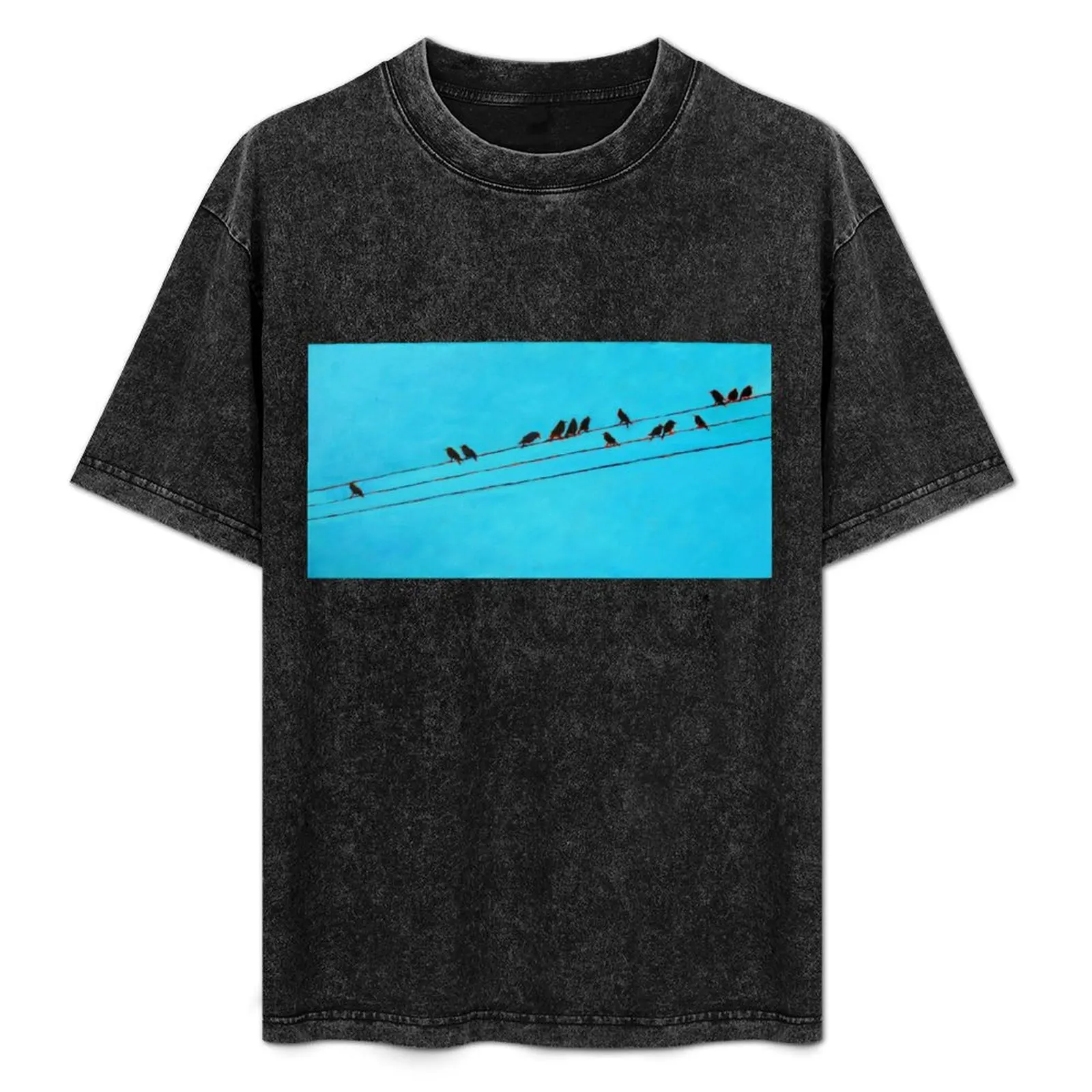Birds, Wires 14 T-Shirt Casual Basic Short Sleeve T-Shirt
Birds, Wires 14 T-Shirt Casual Basic Short Sleeve T-Shirt