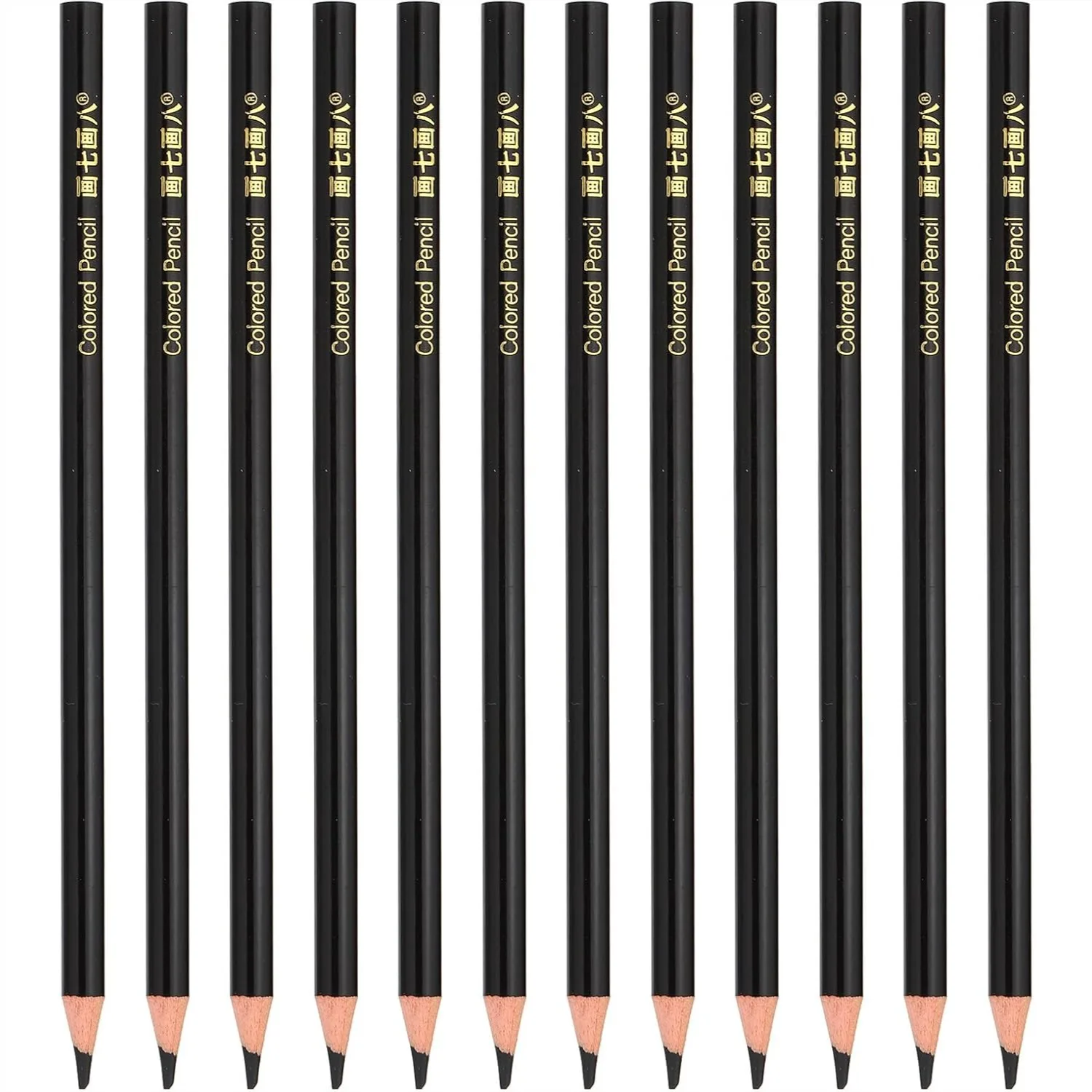 Black Colored Pencils Set 12 Pcs Oil Color Pencils Wooden Drawing Pencil For Artists Art Painting
Black Colored Pencils Set 12 Pcs Oil Color Pencils Wooden Drawing Pencil For Artists Art Painting
