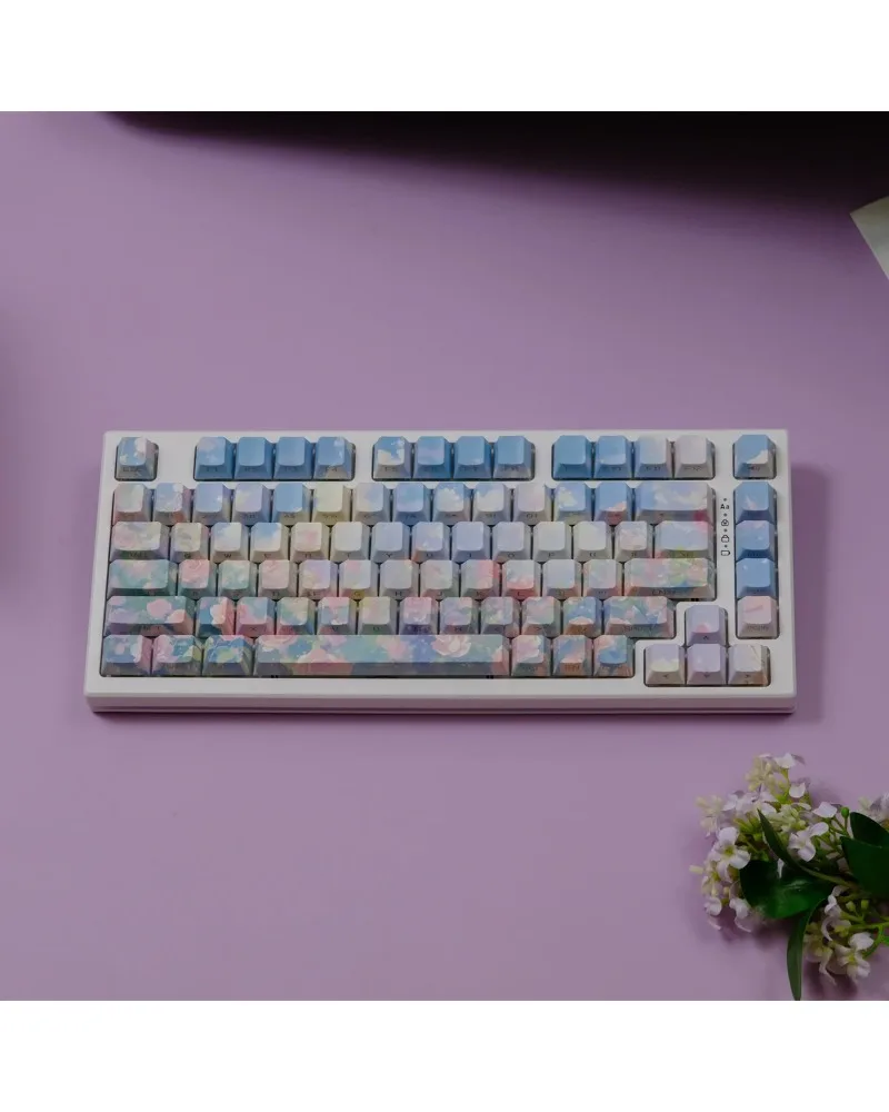 Blue and pink gradient pbt dye sub keycaps full set oem profile for mechanical keyboards
Blue and pink gradient pbt dye sub keycaps full set oem profile for mechanical keyboards