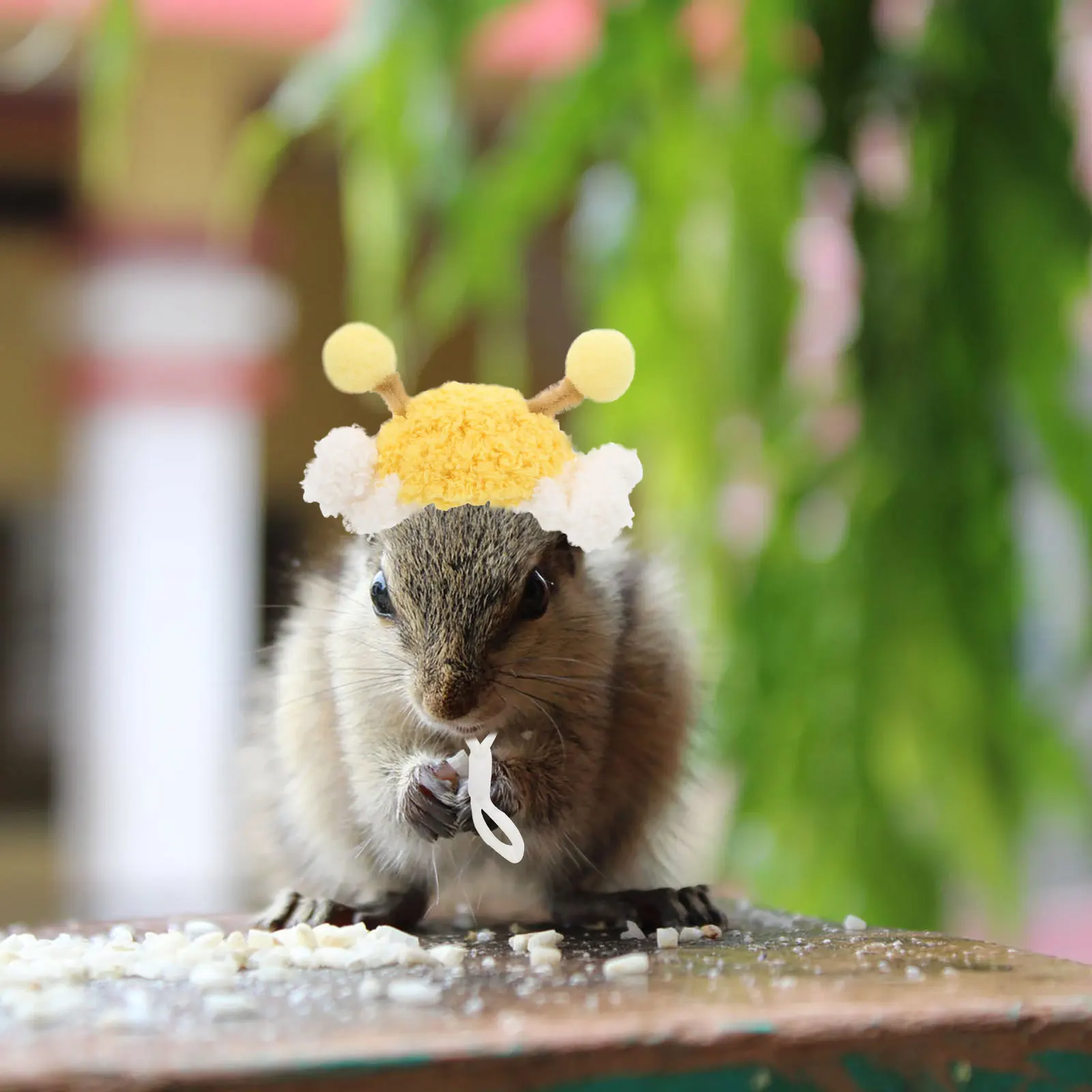 Mini Hamster Hat Hand Knitted Pet Headwear Festive New Year Small Animal Costume Hat for Parrot Bunny Pet Accessories 
Mini Hamster Hat Hand Knitted Pet Headwear Festive New Year Small Animal Costume Hat for Parrot Bunny Pet Accessories