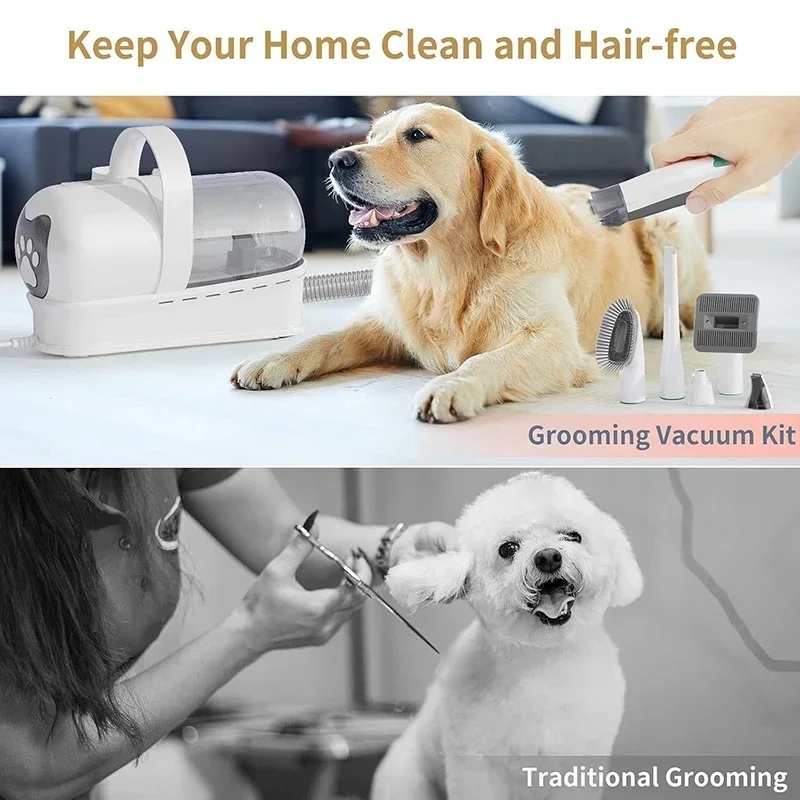 NewHot Sale Pet Hair Dryer Vacuum Suction Dog Cat Grooming Brush Low Noise Electric Vacuum Cleaner Multifunction Pet Grooming Ki
NewHot Sale Pet Hair Dryer Vacuum Suction Dog Cat Grooming Brush Low Noise Electric Vacuum Cleaner Multifunction Pet Grooming Ki
