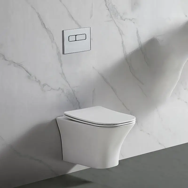 Hot Sale Modern Sanitary Ware Intelligent Smart Toilet Bidet With Woman Washing
Hot Sale Modern Sanitary Ware Intelligent Smart Toilet Bidet With Woman Washing