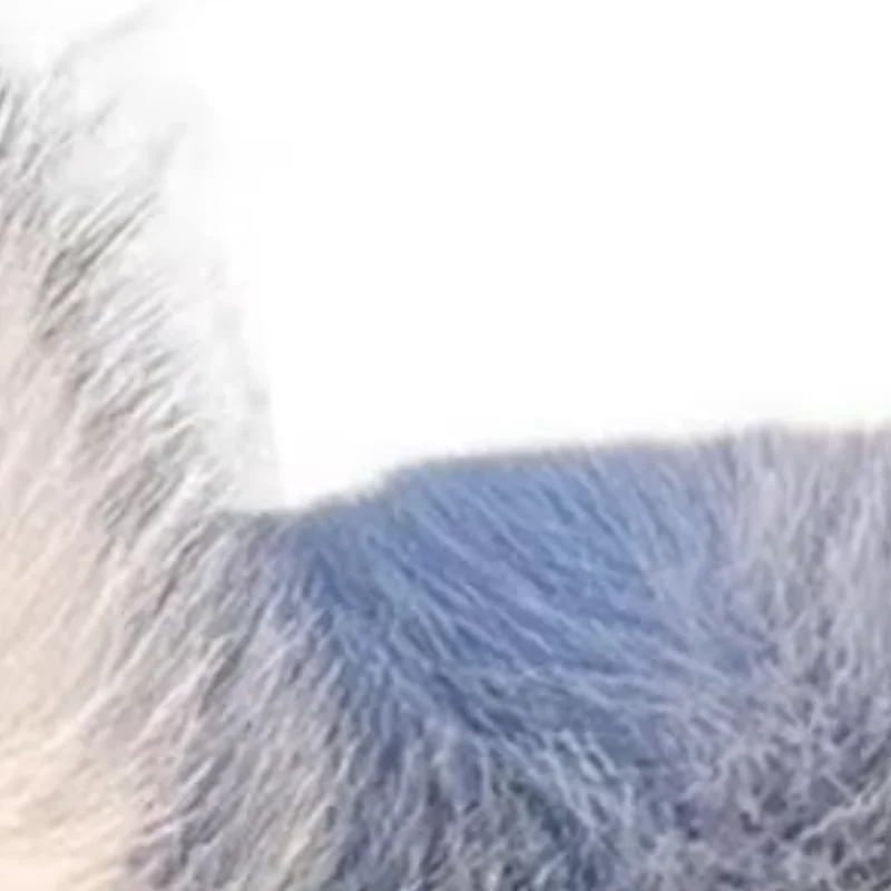 Electric Plush Tail Remote with Voice Control Cosplay Role-play Prop Car Tail Artificial Fur Detachable Buckle Car Tail
Electric Plush Tail Remote with Voice Control Cosplay Role-play Prop Car Tail Artificial Fur Detachable Buckle Car Tail