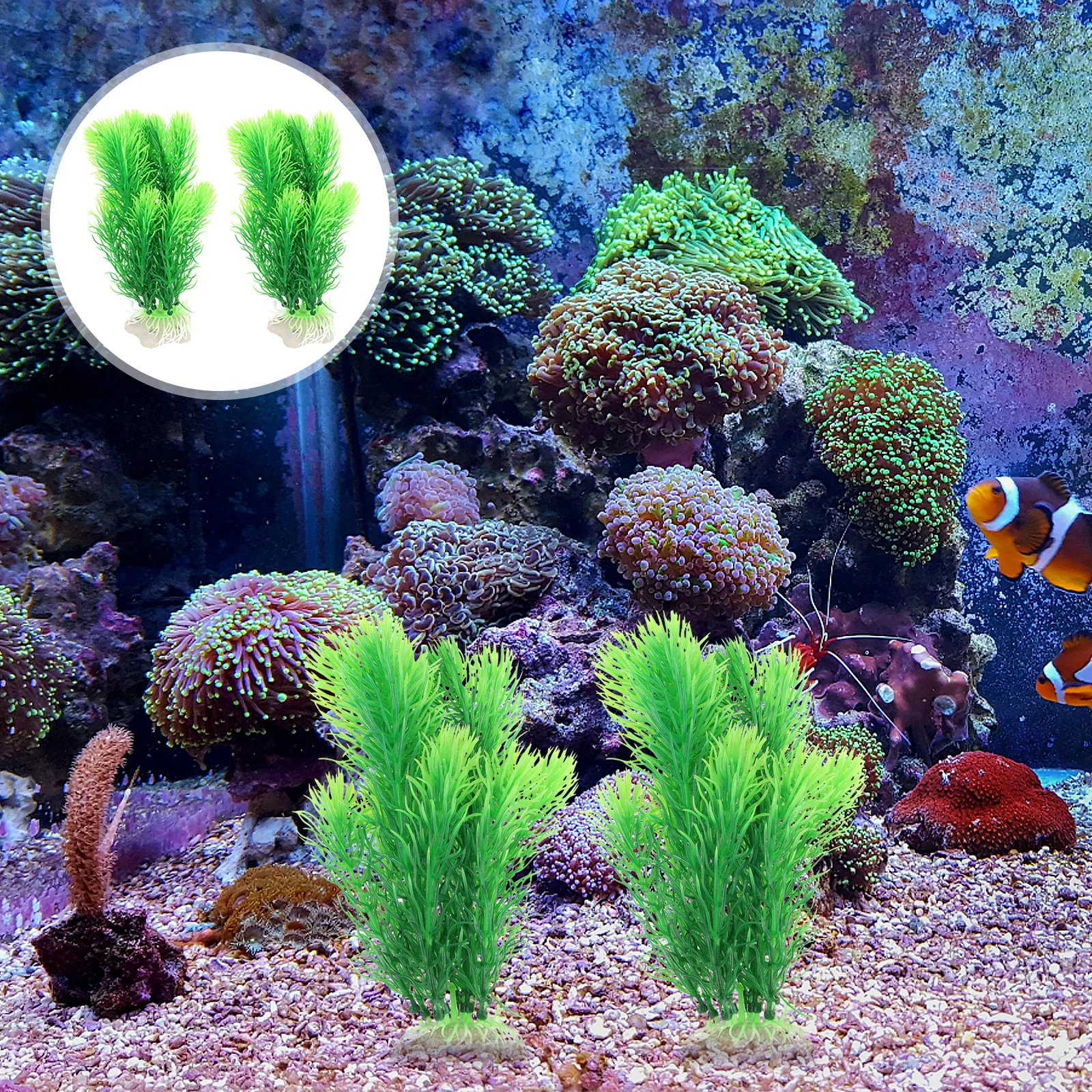 2Pcs Simulated Water Grass Aquarium Decor Artificial Plants for Fish Tank Bowl Plastic Faux PE Ceramic Safe Environmental
2Pcs Simulated Water Grass Aquarium Decor Artificial Plants for Fish Tank Bowl Plastic Faux PE Ceramic Safe Environmental