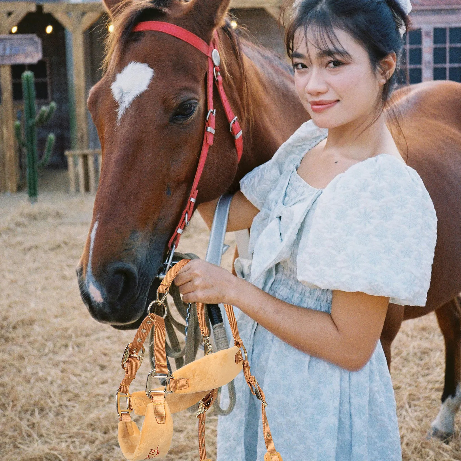 Adjustable Braided Rope Horse Halter Padded Edge Comfort Fit For Equestrian Training Show Use Horse Equipment Supplies
Adjustable Braided Rope Horse Halter Padded Edge Comfort Fit For Equestrian Training Show Use Horse Equipment Supplies