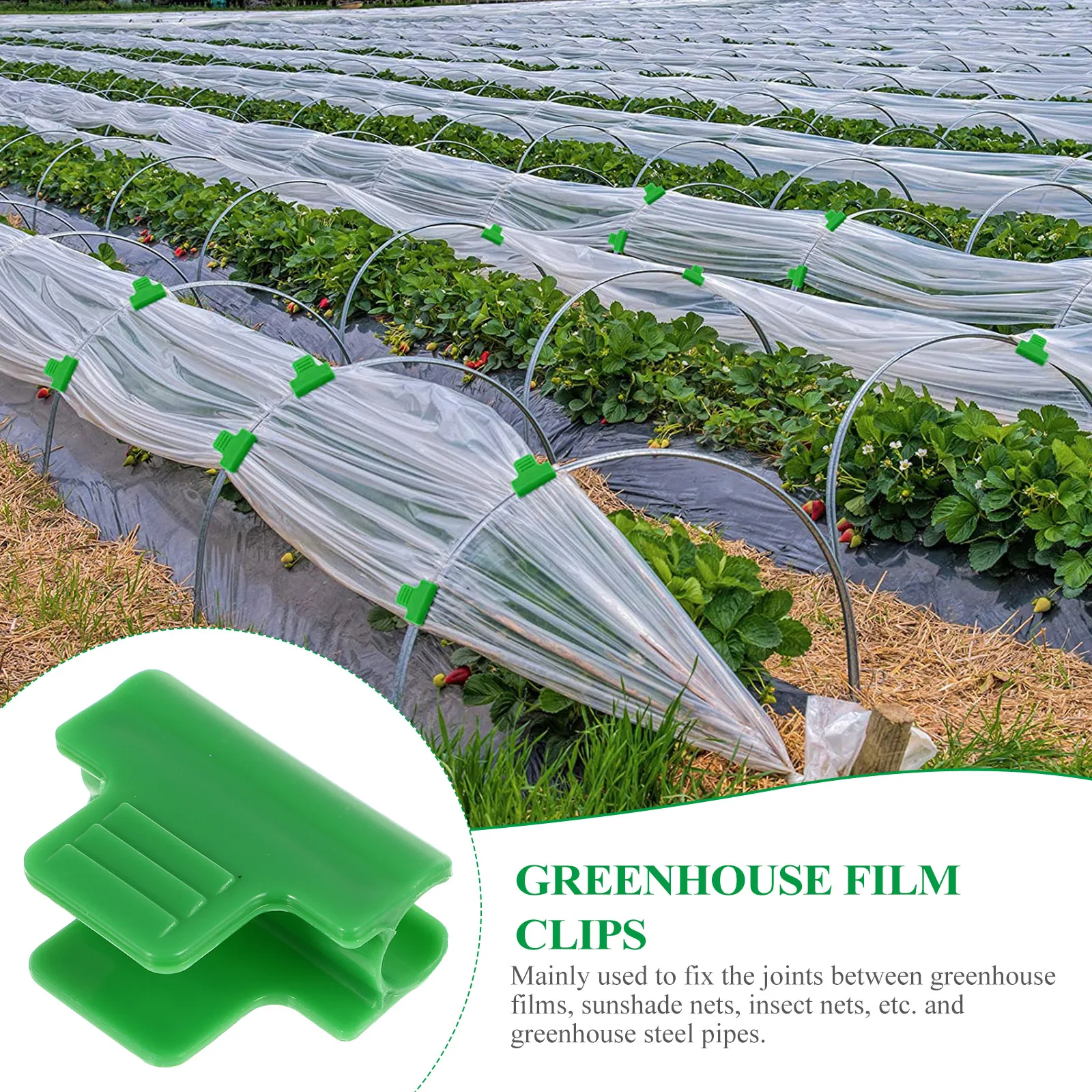 40 Pcs Greenhouse Clips Durable Plastic Film Buckle Shading Net Rod Fixing Tools Affordable Accessories Lightweight Storage Safe
40 Pcs Greenhouse Clips Durable Plastic Film Buckle Shading Net Rod Fixing Tools Affordable Accessories Lightweight Storage Safe