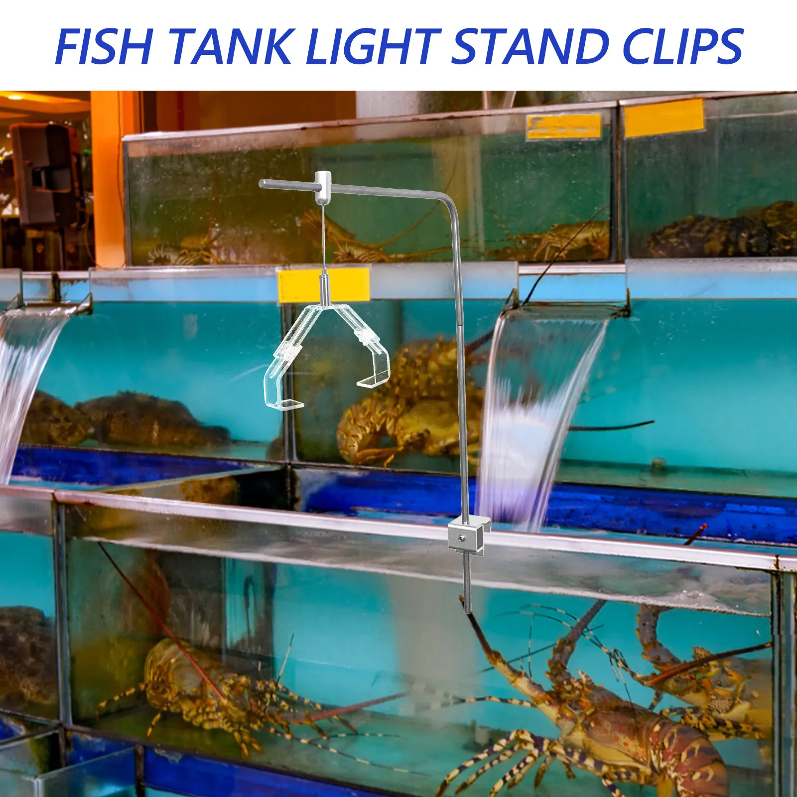 2 Pcs Aquarium Lamp Fixing Holder Clip Heating Light Hanger Adjustable Glass Stand Parts
2 Pcs Aquarium Lamp Fixing Holder Clip Heating Light Hanger Adjustable Glass Stand Parts