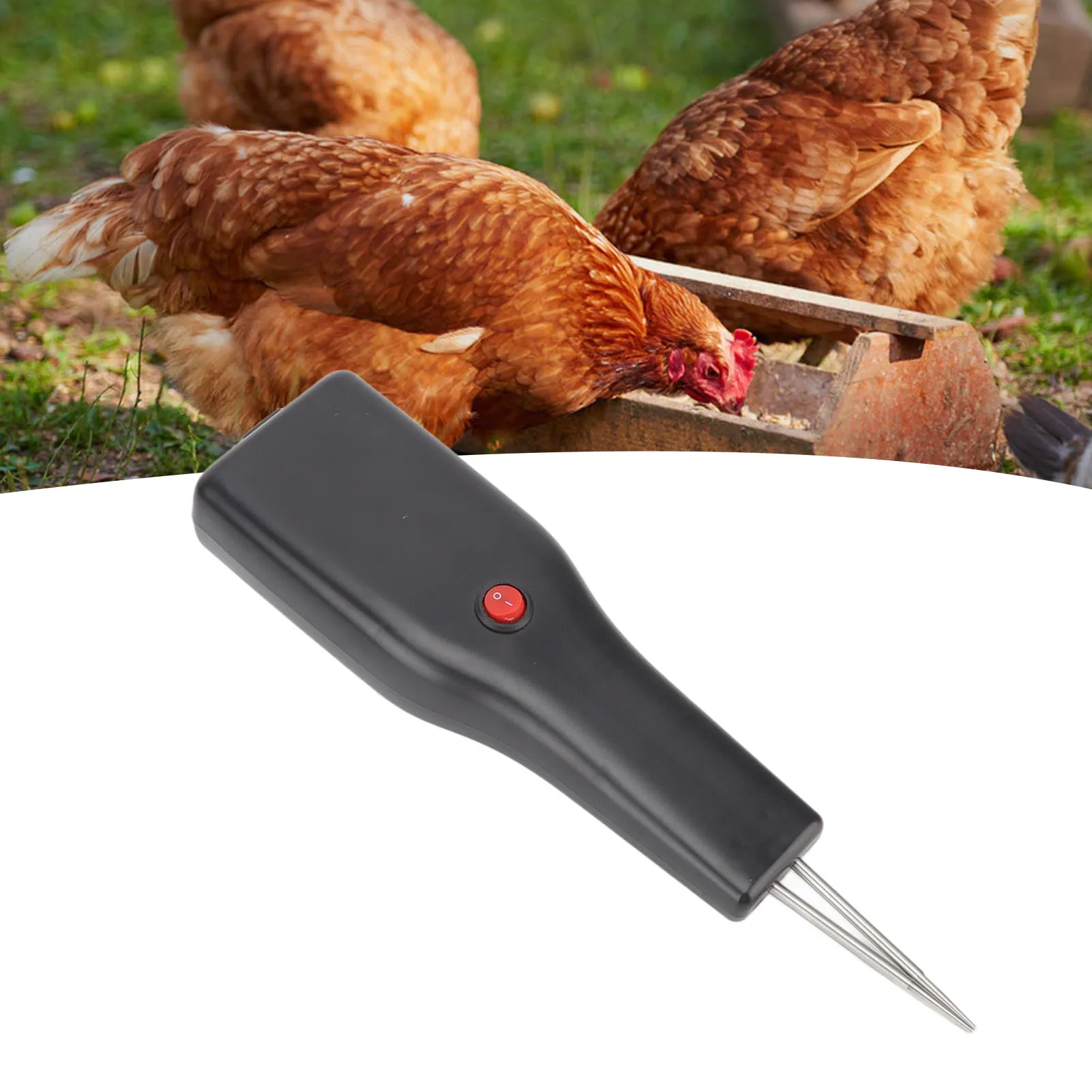 Handheld Chicken Plucker Waterproof Electric Poultry Feather Plucker AU Plug Cone Head High Efficiency Motor for Duck Feather
Handheld Chicken Plucker Waterproof Electric Poultry Feather Plucker AU Plug Cone Head High Efficiency Motor for Duck Feather