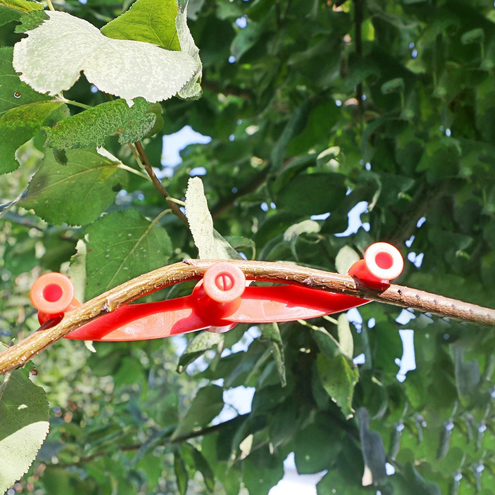 10pcs Adjustable Plant Benders Durable Bendable Branch Shaping Tool For Bonsai Fruit Trees Training 360 Degree Rotation Garden
10pcs Adjustable Plant Benders Durable Bendable Branch Shaping Tool For Bonsai Fruit Trees Training 360 Degree Rotation Garden