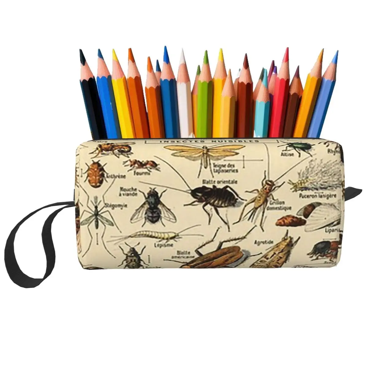 Insects In French Pencil Case for Studen Gifts Pen Box Pencil Bag Stationery Supplies Travel Women Cosmetic Bag Organizer Pouch
Insects In French Pencil Case for Studen Gifts Pen Box Pencil Bag Stationery Supplies Travel Women Cosmetic Bag Organizer Pouch