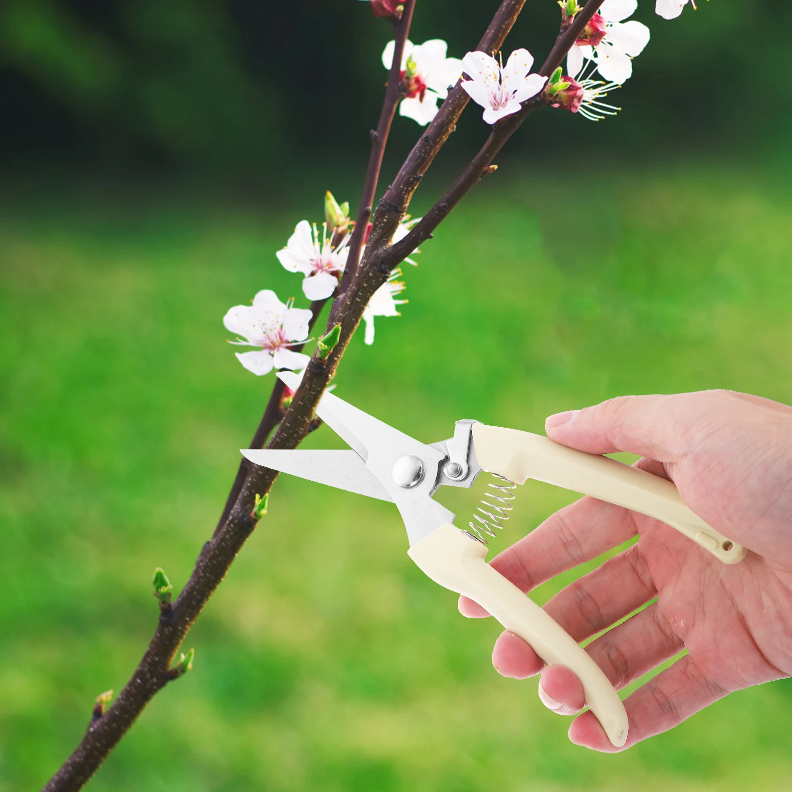 Pruning Shears Scissors Fruit Branch Pruner Cut down Tree Stainless Steel Neat Cutting
Pruning Shears Scissors Fruit Branch Pruner Cut down Tree Stainless Steel Neat Cutting