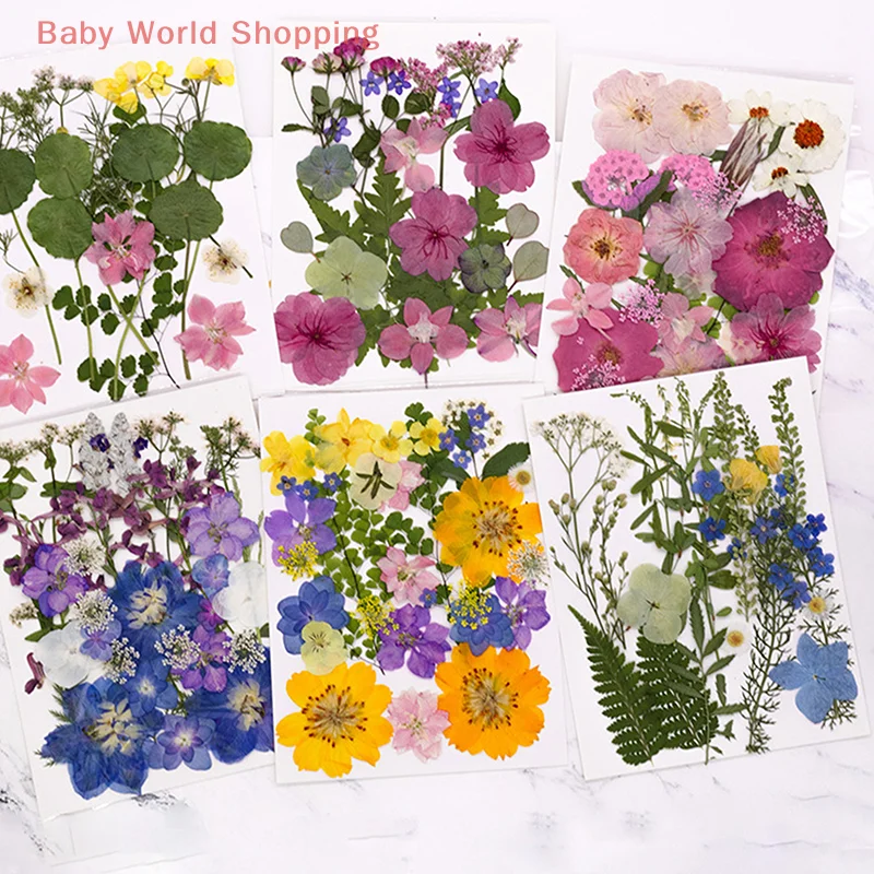 Dry Flower Diy Combination Of Real Flower Material Hot Selling Brand Flower Picture Frame Aromatherapy Candle Bookmark Material
Dry Flower Diy Combination Of Real Flower Material Hot Selling Brand Flower Picture Frame Aromatherapy Candle Bookmark Material